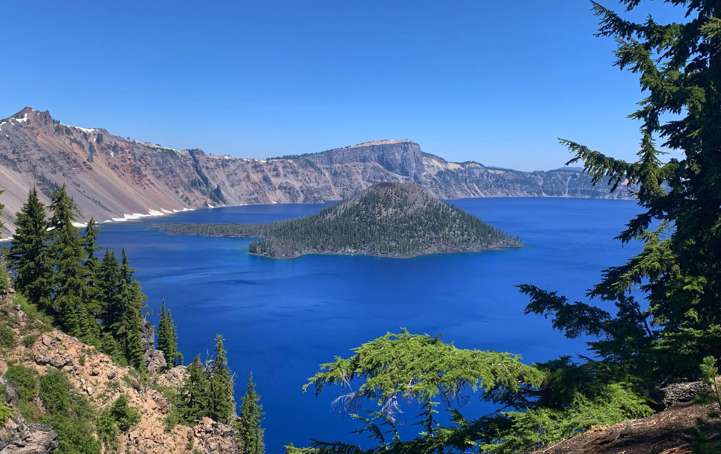 The deep blue water of Crater Lake with the forested cone of Wizard Island rising from it, framed by fir branches