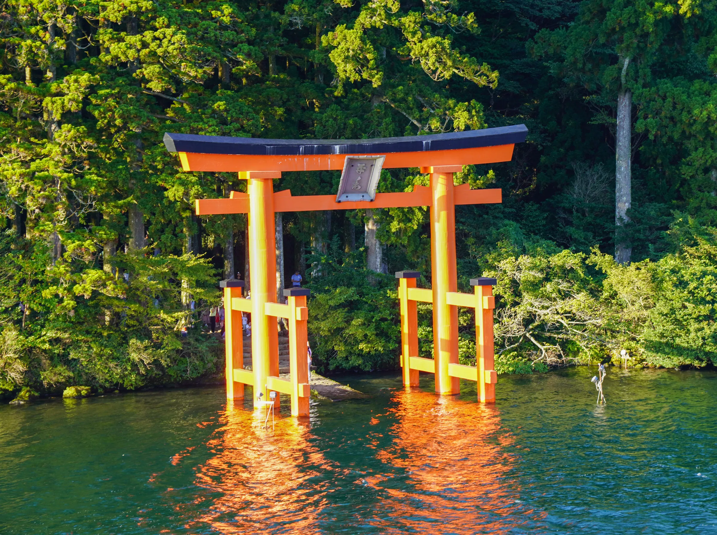 An orange torii gate standing in a lake at the edge of a forest, its reflection rippling in the water below