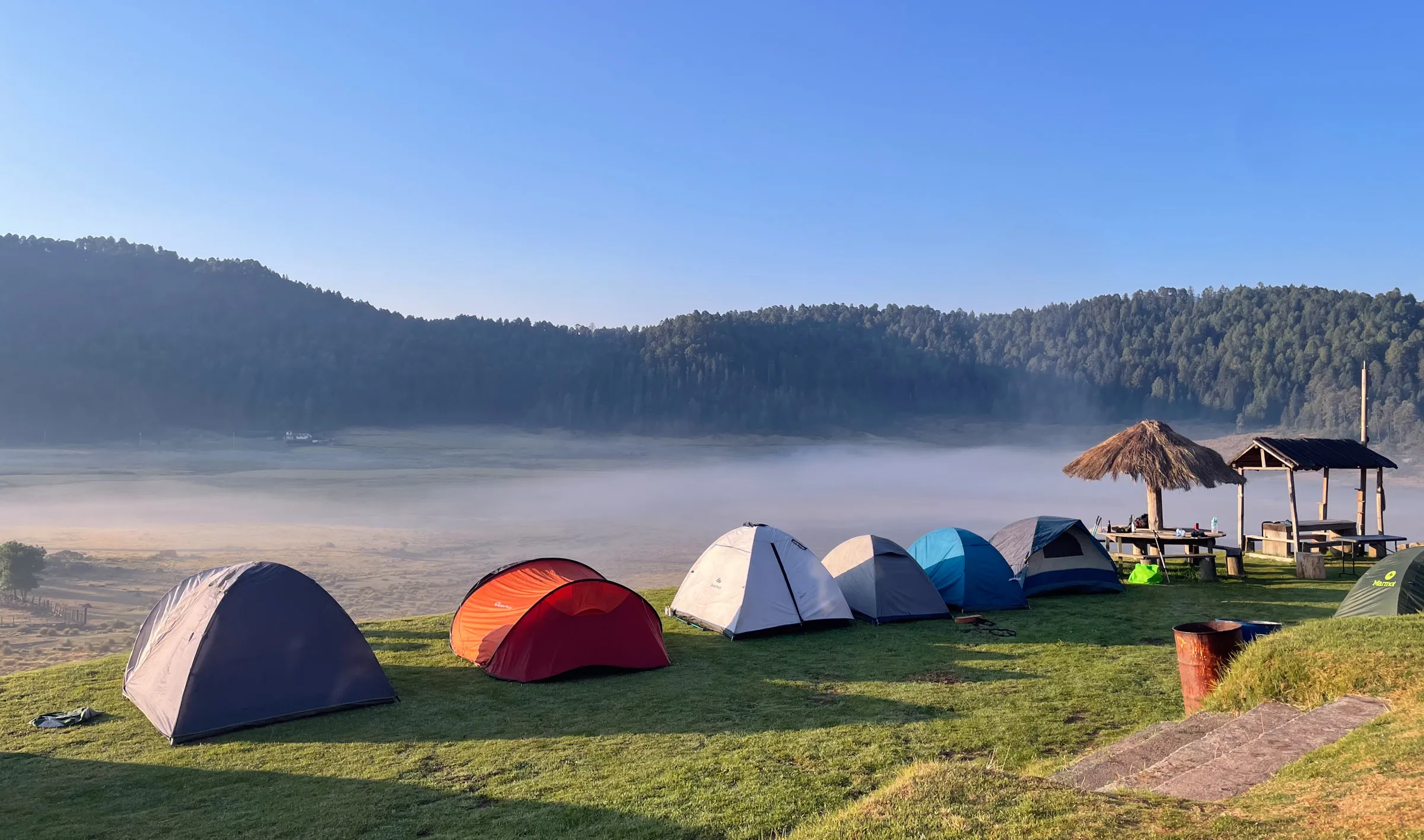 A row of small tents pitched on a grass meadow in early light, with mist lying across the field behind them and a dark pine ridge beyond