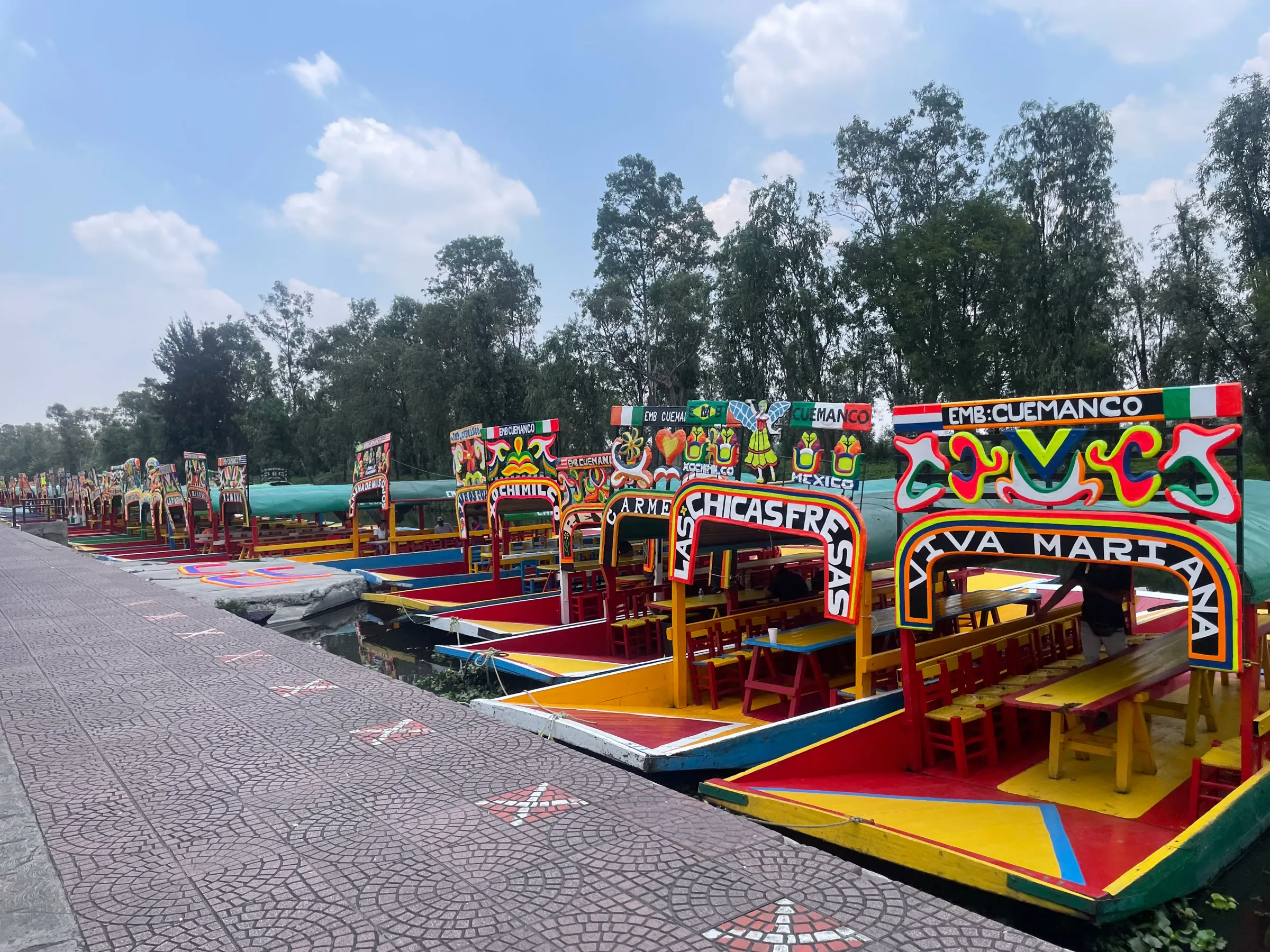 A line of trajinera boats moored along a canal, each with a brightly painted arch over it lettered with a different name, trees and a blue sky behind