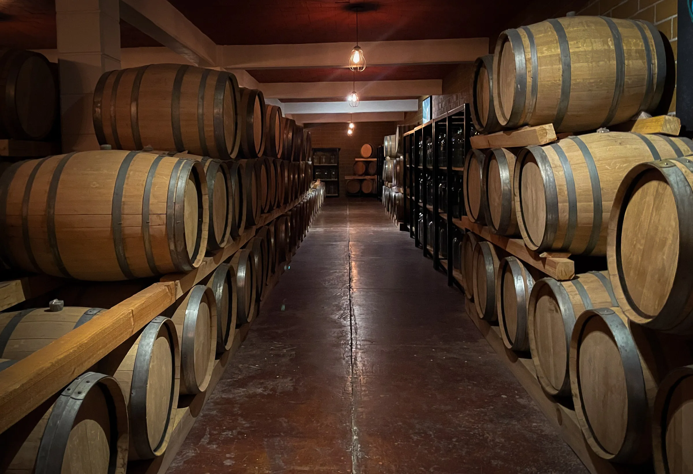 A dim cellar with oak barrels stacked two and three high along both walls, a bare bulb hanging over the polished floor between them