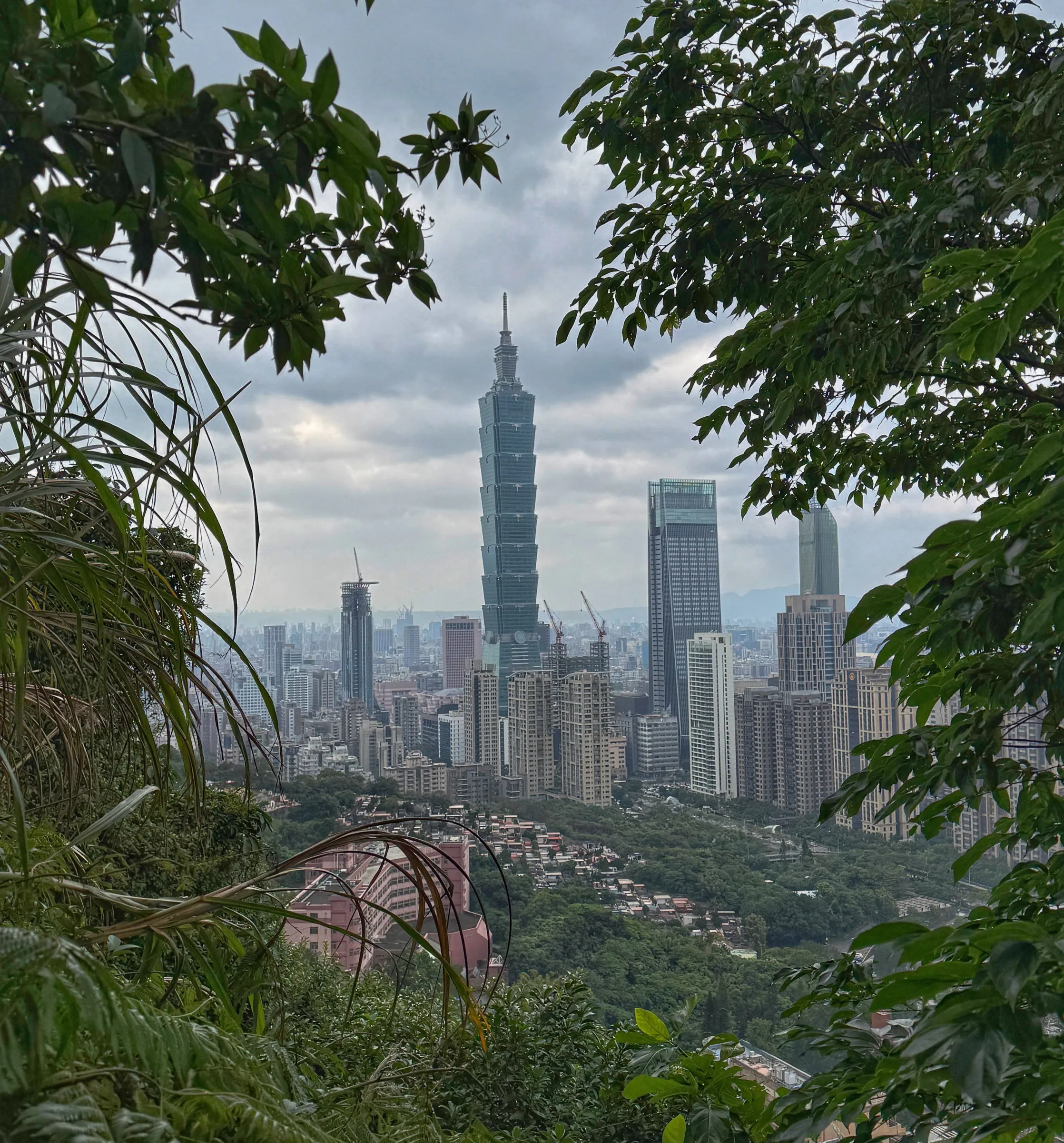 Taipei 101 and the surrounding skyline seen through green tree branches under a cloudy sky