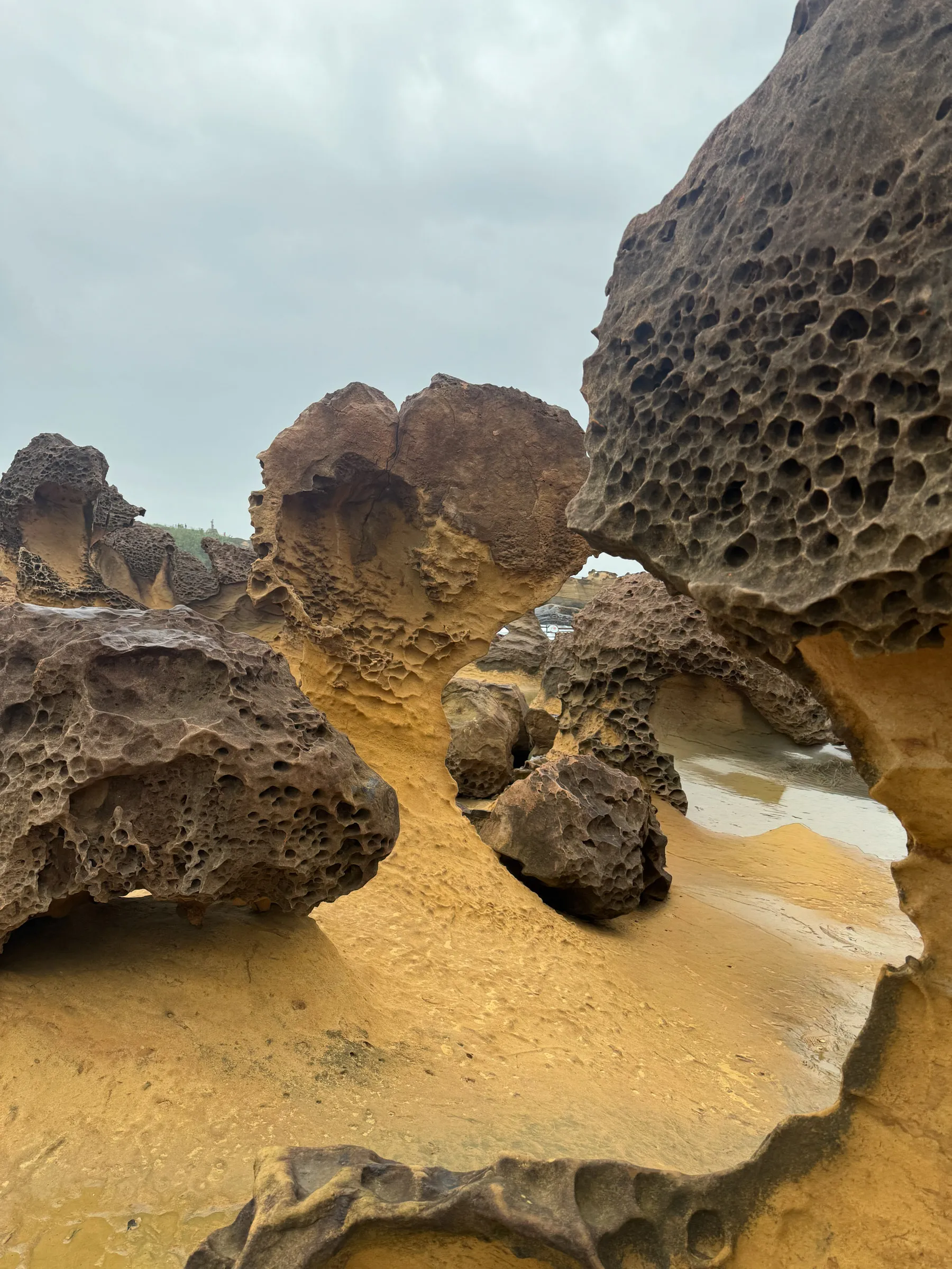 Wind- and wave-carved sandstone formations pitted with small hollows, rising from a flat rock shelf under an overcast sky